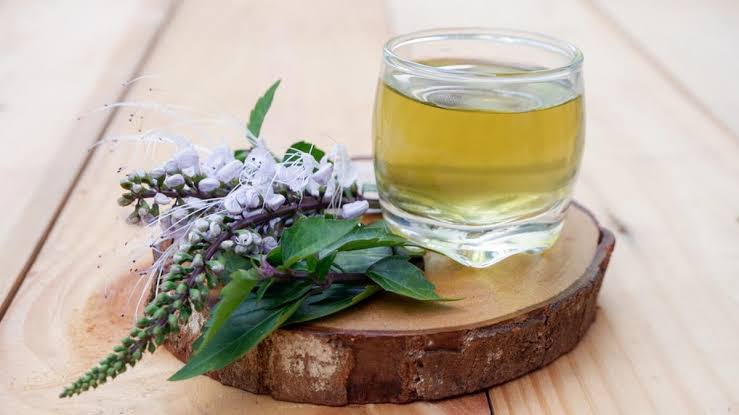 Obat Asam Urat Alami 