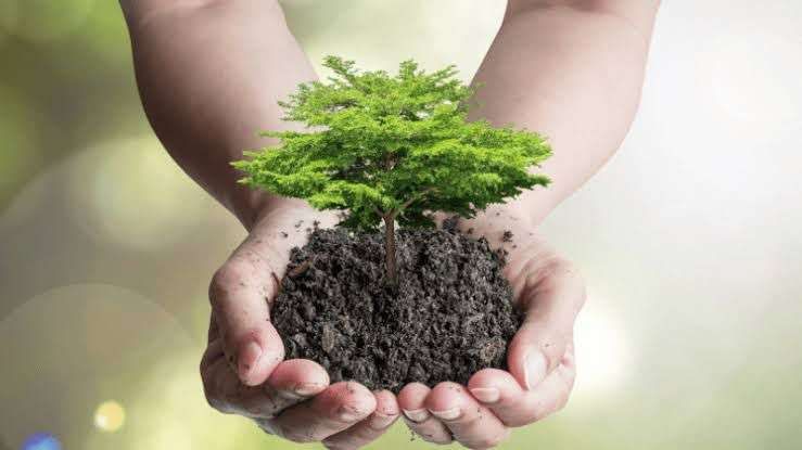 Happy Environment Day 2024