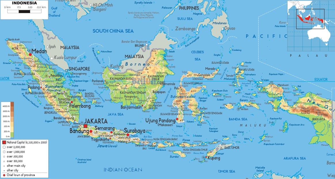 Tryout Online Geografi: Menguasai Peta Wilayah dengan Baik