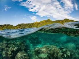 Pentingnya Konservasi Laut untuk Masa Depan