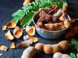 Atasi Tubuh Gendut dengan Ramuan Obat Herbal Berikut Ini