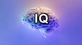 Apakah Jenius Dilahirkan atau Dilatih? Coba Tes Online IQ Ini!