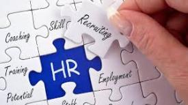 Sosmed untuk jasa HR freelance