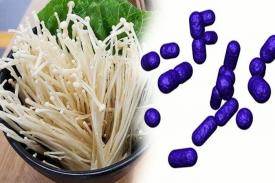 4 Wabah Akibat Bakteri yang Ada di Makanan Selain Listeria