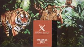 Deforestasi Legal Tinggi di Sumatra: Ancaman Lingkungan dan Tantangan Pengelolaan Hutan