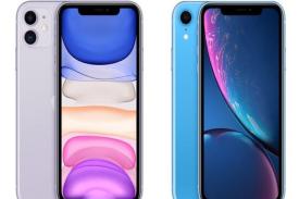 Pilih Mana iPhone XR atau iPhone 11